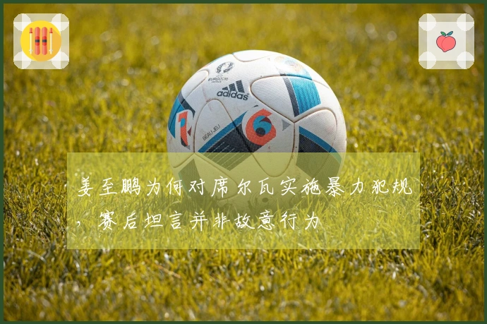 姜至鹏为何对席尔瓦实施暴力犯规，赛后坦言并非故意行为