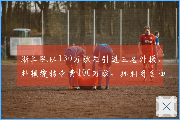 浙江队以130万欧元引进三名外援，朴镇燮转会费100万欧，托利奇自由加盟