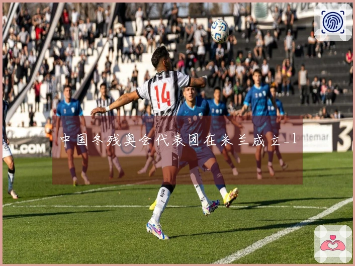 中国冬残奥会代表团在米兰成立_1